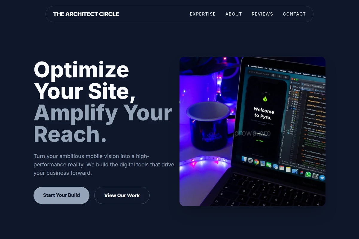 Vector App Development