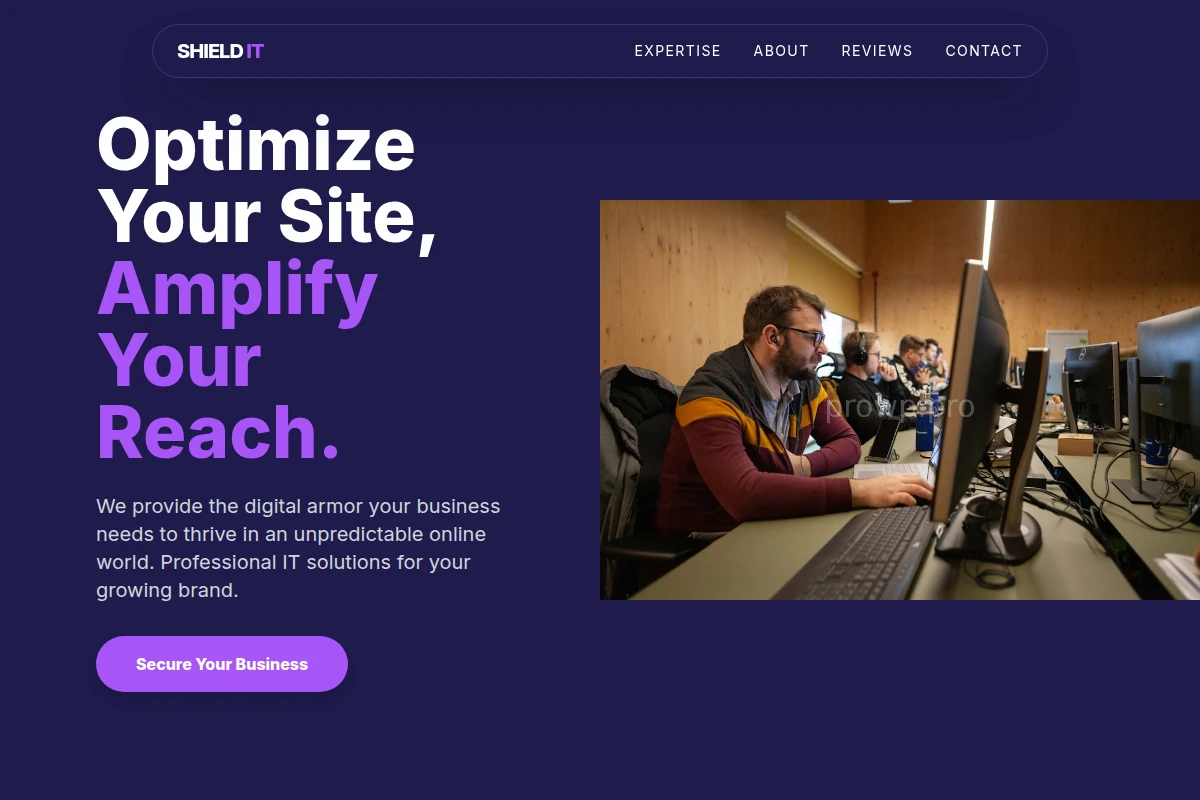 Shield It Consulting